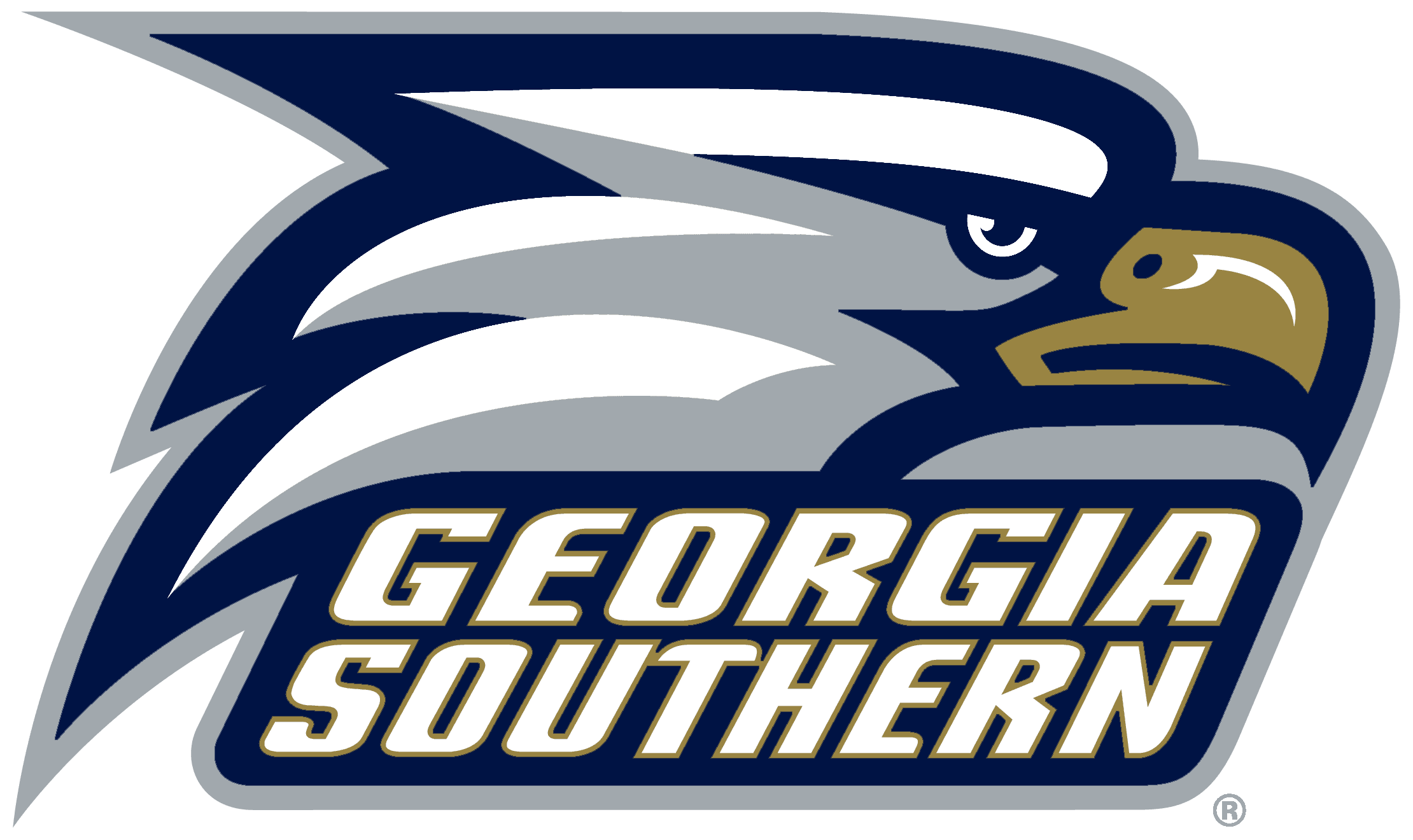 Georgia Southern University